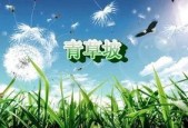青草国产在线,探寻国产青草在线的魅力与风采